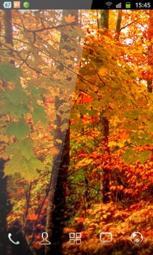 Autumn HD 3D Live Wallpaper截图5