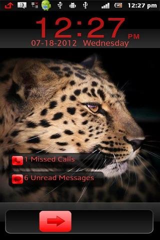 Leopard HD Go Locker截图5