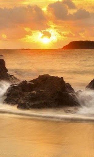 Best Nature Wallpapers截图2