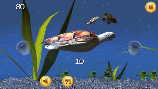 Sea Turtle Aquarium 3D截图2