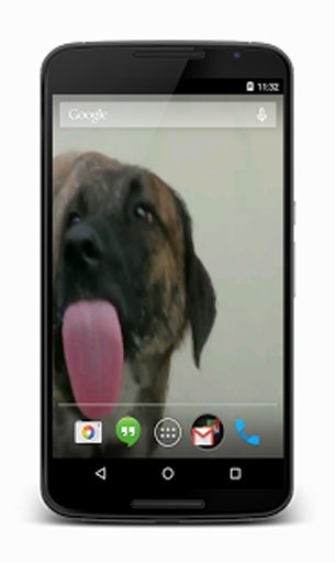 Dog Licks Screen Live Wallpaper截图4