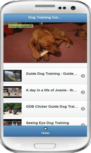 Dog Training Guide (VDO)截图4