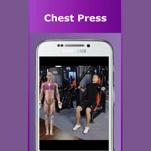 Daily Chest Video Workouts截图4