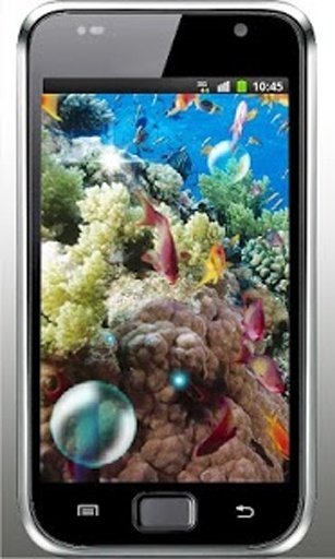 Coral Reef Fish HQ Photo LWP截图4