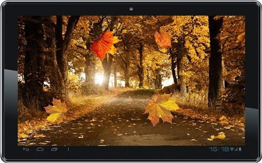 Autumn Forest live wallpaper截图4