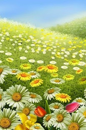 Spring Animated Live Wallpaper截图5