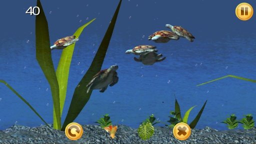 Sea Turtle Aquarium 3D截图4