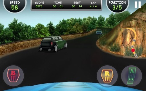 Rally Racing 3D截图3