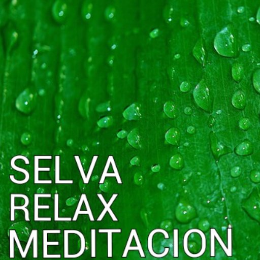 Sonidos relax meditaci&oacute;n selva截图5