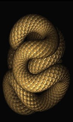 Moving Snake Live Wallpaper截图1