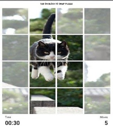 Baby Cat Puzzle截图1