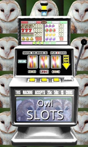 Owl Slots - Free截图4