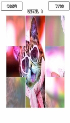 Lil Bub Cat Puzzle截图1