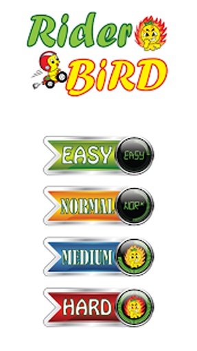 Rider Bird On Highway Death截图2