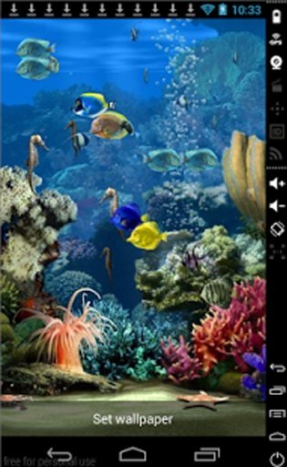 Coral Reef Cool Livewallpaper截图1