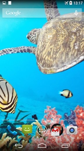 Sea Turtle Live Wallpaper截图2