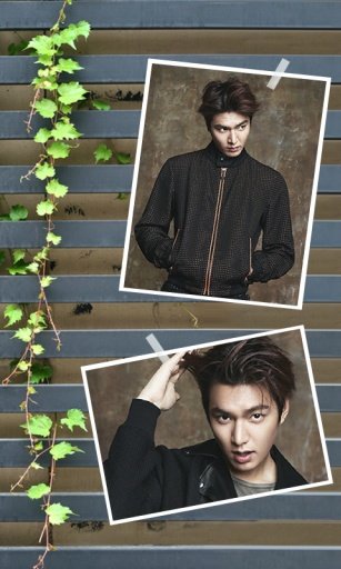 Lee Minho Wallpaper 16截图5