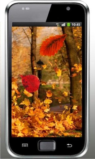 Autumn Forest live wallpaper截图6