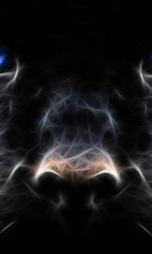 Black Leopard Wallpapers截图5