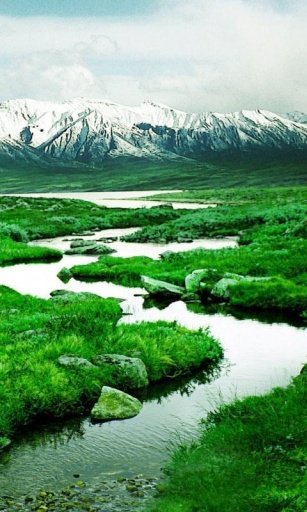 Best Nature Wallpapers截图3