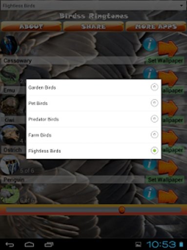 Bird Ringtones截图3