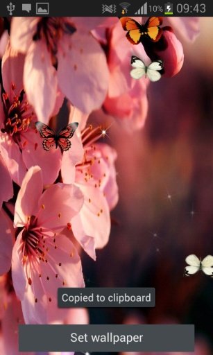 Sakura 2015 Live Wallpaper截图1