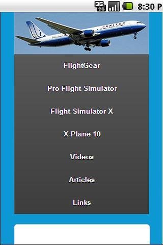 The Most Realistic Flight Sim截图2