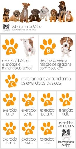 Adestramento Básico Para Cães截图1