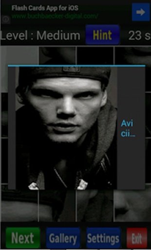 Avicii Wake Me Up截图6