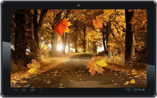 Autumn Forest live wallpaper截图5