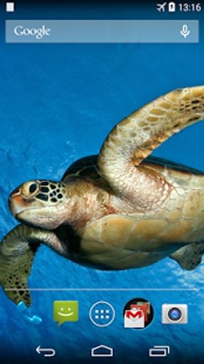 Sea Turtle Live Wallpaper截图1