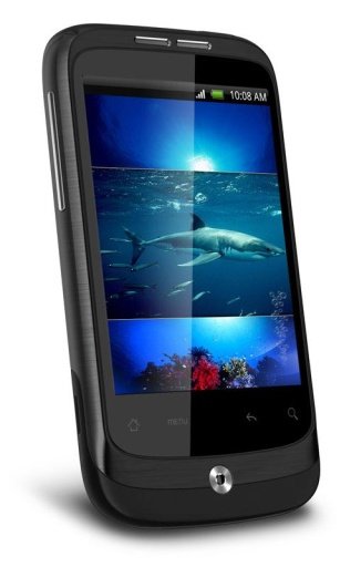 White Shark 3D Live Wallpaper截图4