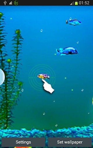 G3 Aquarium Live Wallpapers截图3