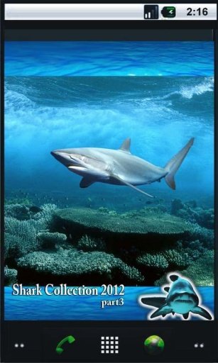 Angry Shark Top Live Wallpaper截图3