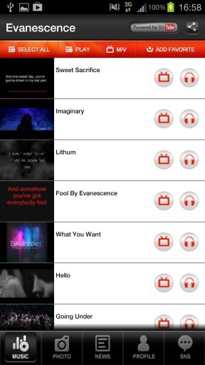 Evanescence Music Videos Photo截图1