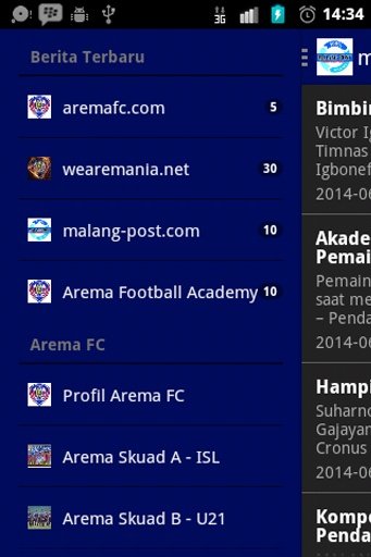 Arema FC截图3