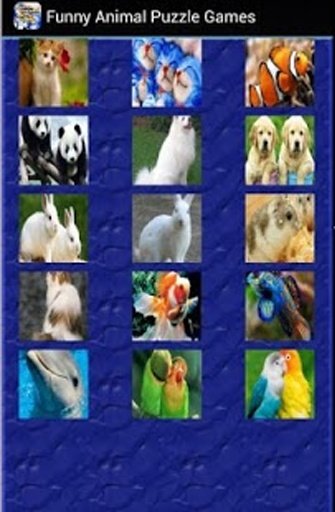 Funny Animal Puzzle Games截图1