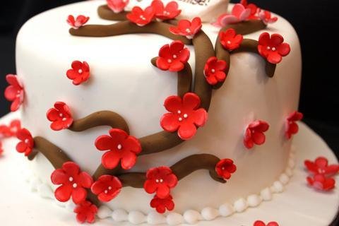 Anniversary Cake Ideas截图4