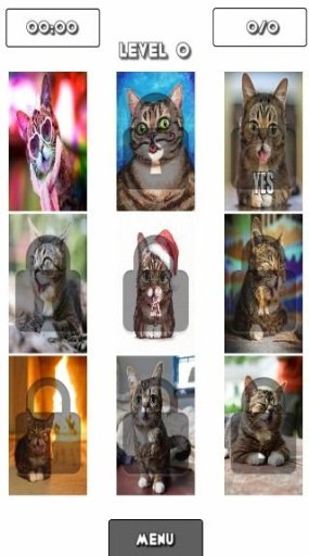 Lil Bub Cat Puzzle截图3