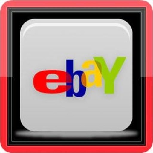 Ebay Auction Guide截图1