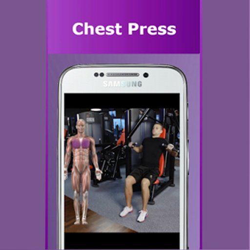Daily Chest Video Workouts截图3
