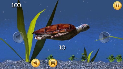 Sea Turtle Aquarium 3D截图5