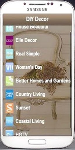 DIY Decor截图7