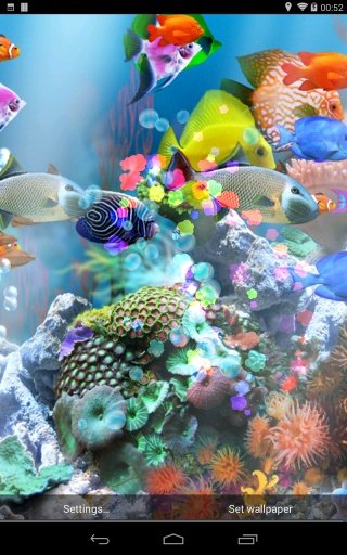 aniPet Aquarium LWP截图4