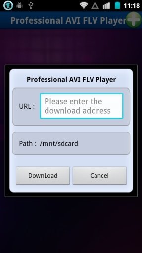 Professional AVI FLV Player截图4