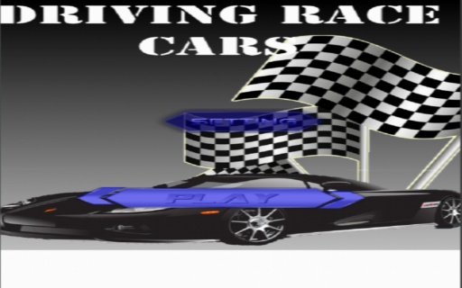 Race Car Driving截图3