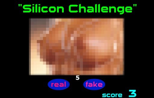 Silicon Challenge截图1