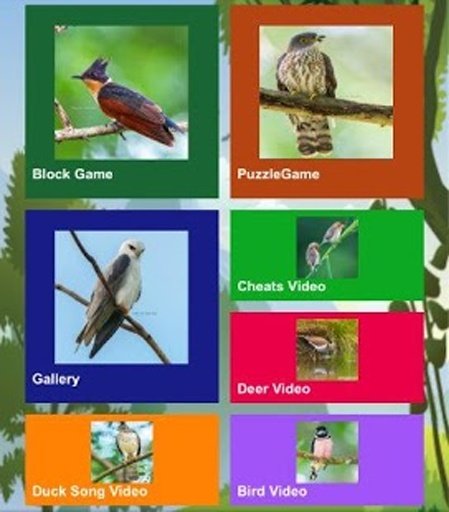 Duck and Birds hunter 2014截图2