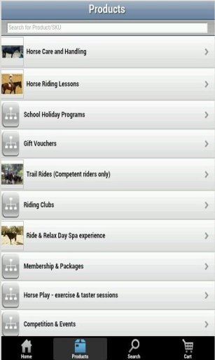 Horse Riding Coach Online截图3