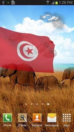 3d Flags of Africa LW截图11